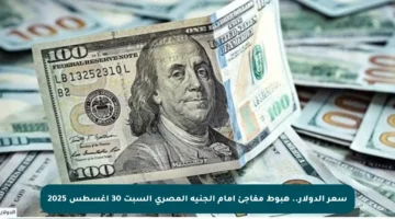 سعر الدولار.. هبوط مفاجئ أمام الجنيه المصري السبت 30 أغسطس 2025
